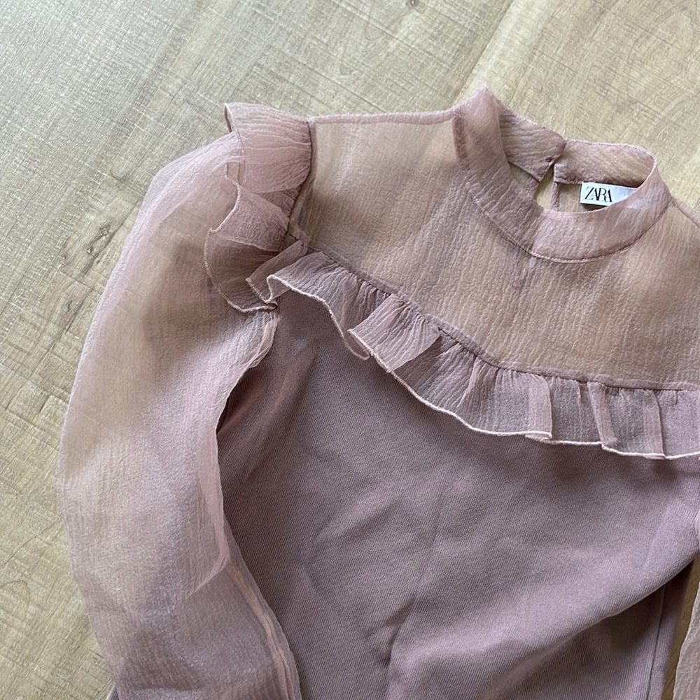 Zara organza top